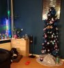 _20211208_142429.JPG