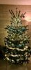 20211204_184824.jpg