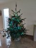 IMG_20211212_134841.jpg