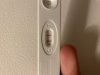 3C7AAAD0-AF28-4C66-8DF9-EB5D801A9E55.jpeg