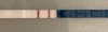 49FE6DA8-DA68-4B88-A74A-3012E1A210DE.jpeg