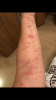 E7843C44-D2A9-4B3D-A3FF-26055221EAA7.png