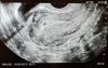 20211205_111206.jpg