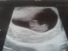 baby2013 013.jpg