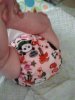 pandababy.jpg