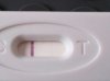 ZW test 02-06-2013.jpg