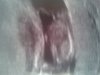 20130604_184759.jpg