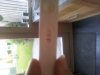 20130608_075521.jpg