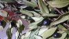 IMG-20211229-WA0002.jpeg