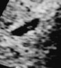 20211230_190025-1.jpg