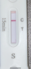 D12FE1C8-1F81-4122-B29B-E0BAF40238E6.png