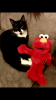 FBAF3D96-5B24-43A8-BAB9-DDB047B82A62.png