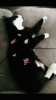 E88637CD-95CF-4C6F-9072-9E07493EFC27.png