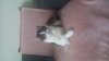 IMG-20211230-WA0004.jpeg