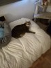 IMG_20190914_102928.jpg