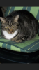 F51782F9-85C4-4AB2-B8E3-DEE09A473BD4.png