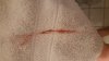 IMG-20220104-WA0012.jpeg