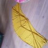 20220109_102611.jpg