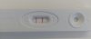 Screenshot_20220110-100846_Gallery.jpg