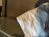 IMG_20220110_145048.jpg
