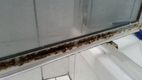 20220117_083246.jpg