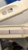 CD9386E5-62D6-4858-A4D9-8B0B0D1E7217.png