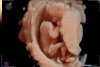 Visser_Gaya_van_der_Helm_baby_202201180052.jpg