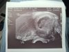IMG-20220119-WA0001.jpg