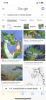 67A10DCC-380B-4996-9C78-37B6234F1D49.png