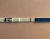 741F0D72-C488-4527-97D3-17AD9EA17FFC.jpeg