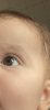 6833344E-5E2C-4549-98CC-D2E007463C7D.png
