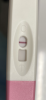 4A373A44-4E7E-4B77-AC11-B6FEF1D5B0DE.png
