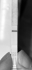 9274CC49-6AAB-479E-9206-F3DCF9C5968B.png