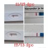 PhotoGrid_Plus_1644237714463.jpg