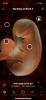 39915CD5-57A9-4751-B4FA-4876FD0D11F6.png
