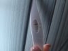 20220212_081427.jpg
