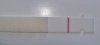 20220215_112731.jpg