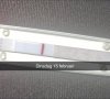 1866689D-11AC-43D7-BC81-6032C6307318.jpeg