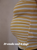 1645392599281.png