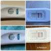 B0D7BD3A-F262-4124-9DE2-A90C5E6EFCF7.png