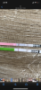 9175C272-97E9-4728-8716-70887E524D49.png