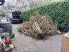 20220315_102710.jpg