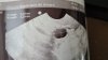 IMG-20220317-WA0001.jpeg