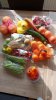 IMG-20220330-WA0004.jpeg