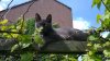 2012-05-17 13.55.32.jpg