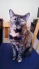 WP_20130610_004.jpg