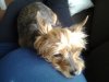 20130611_092410.jpg