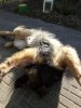 DSC00005.jpg