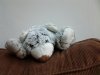 20130612_152238.jpg