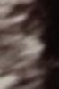 179734_466069216812509_661760801_n.jpg